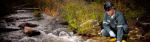 employee testing water quality