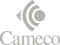 Cameco logo